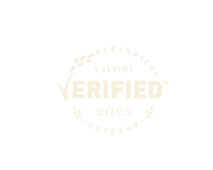 Savory Verified 2025