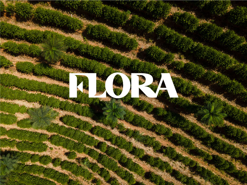 Conheça o ecossistema FLORA