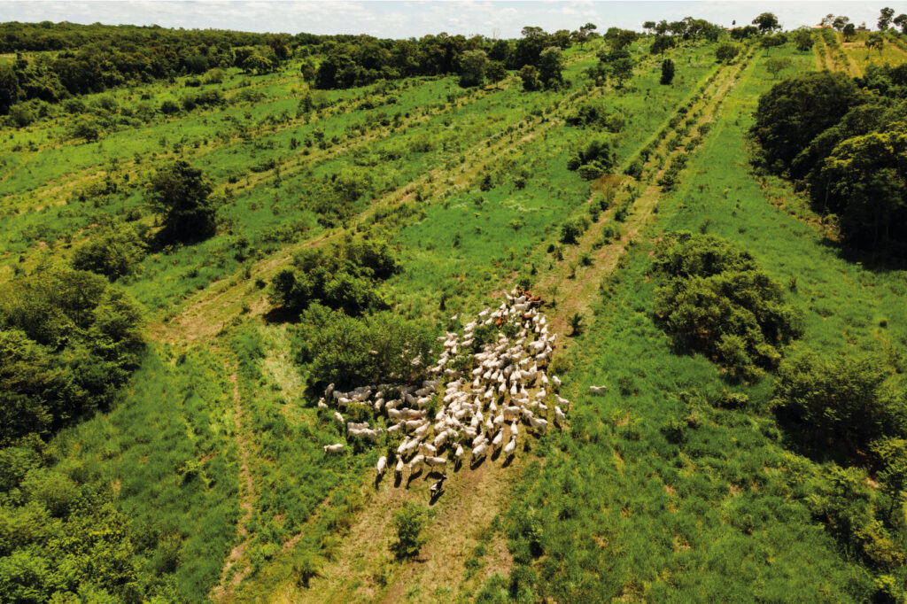 Onde a terra se renova, o futuro floresce.