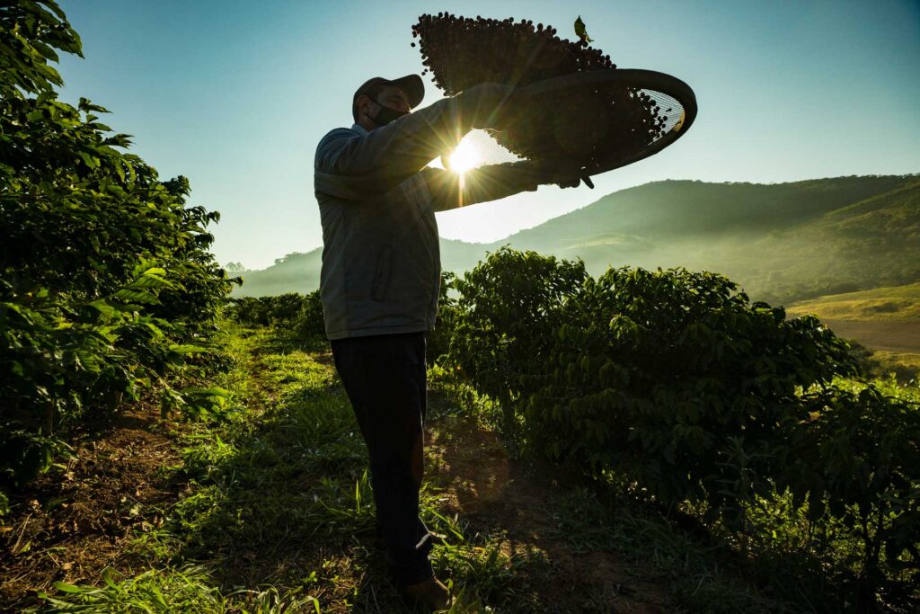 Sistemas Agroflorestais: Diversificando para Resiliência