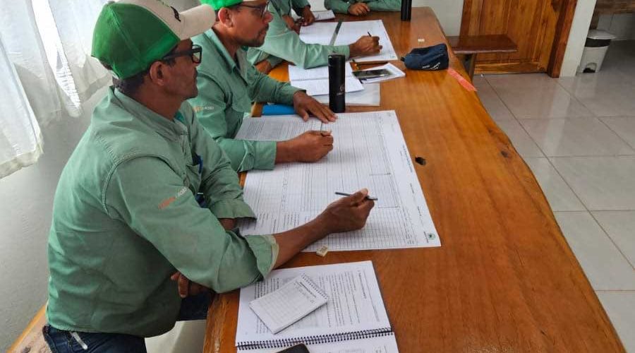 PASTAGEM-AGROFLORESTAL-8