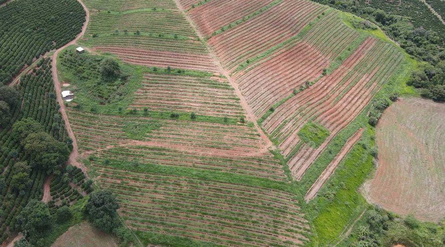 SISTEMA-AGROFLORESTA-1